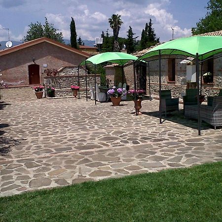 Societa Agricola Mg Florplant Villa Francavilla Marittima Luaran gambar