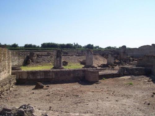 Societa Agricola Mg Florplant Villa Francavilla Marittima Luaran gambar